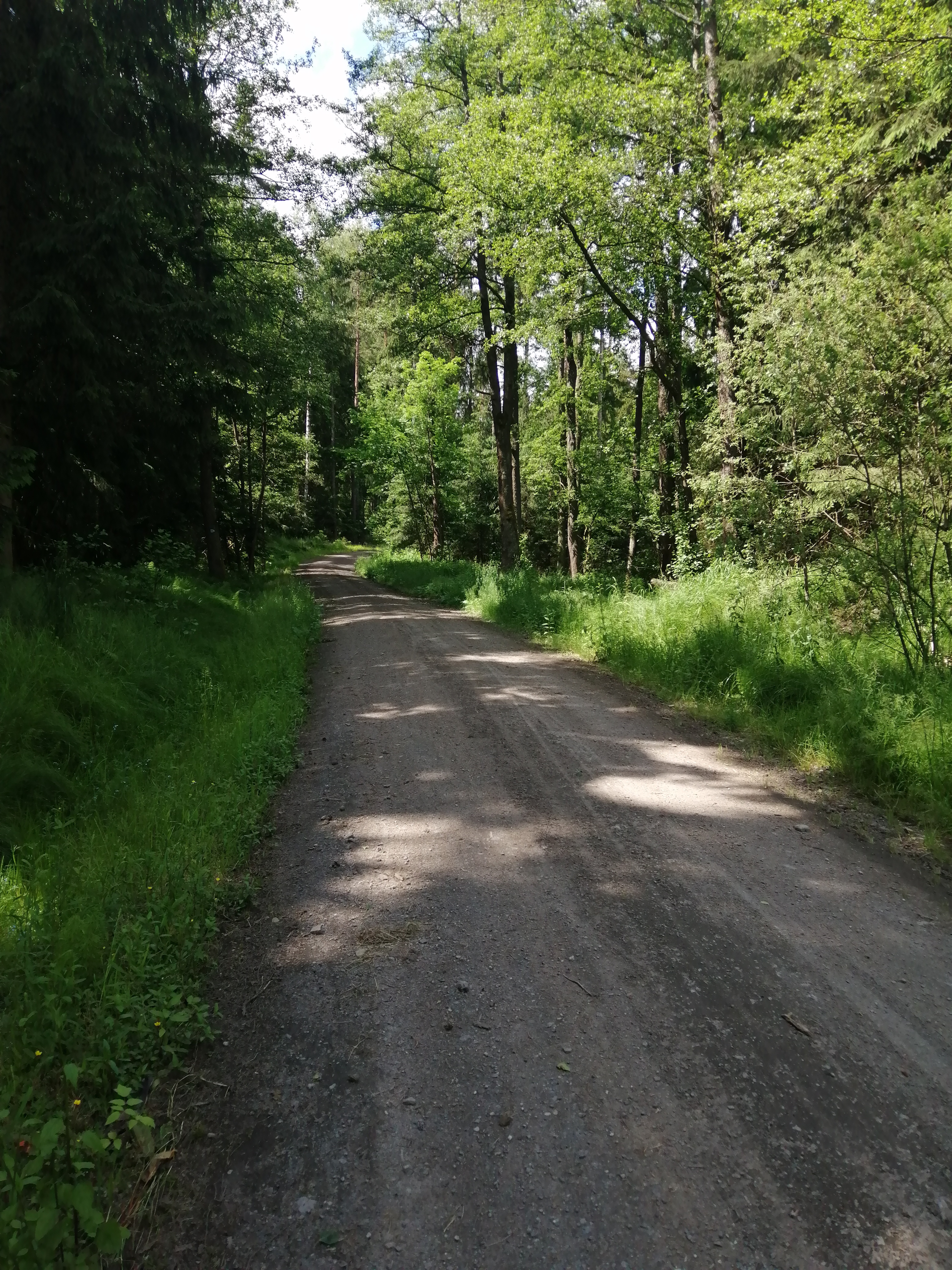 Mitterteich